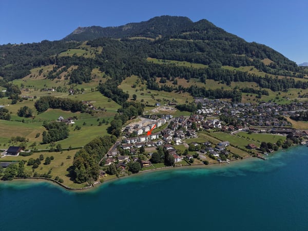 Traumhafte See- und Bergsicht am Fusse der Rigi 3