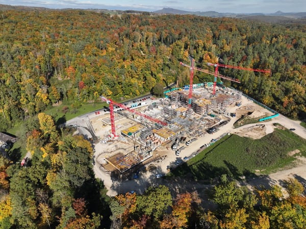 NATÜRLICH STADTNAH WOHNEN: WALDSTADT IM PANTLI 2