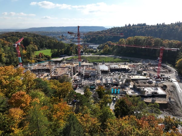 NATÜRLICH STADTNAH WOHNEN: WALDSTADT IM PANTLI 5