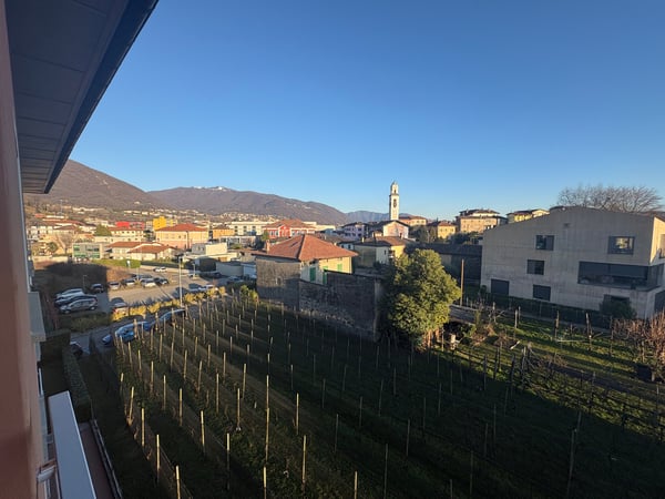 Appartamento luminoso di ampia metratura in locazione – contesto centrale e tranquillo 13