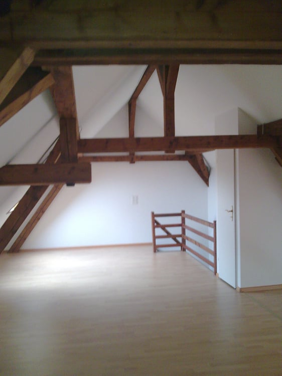 Wohnen im Gellert - grosszügige Maisonettewohnung mit Cheminée 2