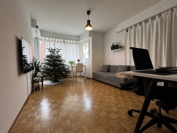 ATTRAKTIVE 1-ZIMMER-WOHNUNG AM HOTSPOT MESSE BASEL! 3