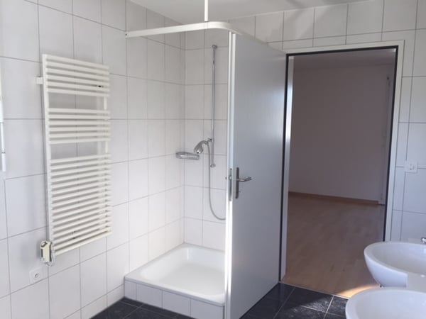 Grosszügige Attikawohnung mit Dachterrasse an ruhiger Lage 8