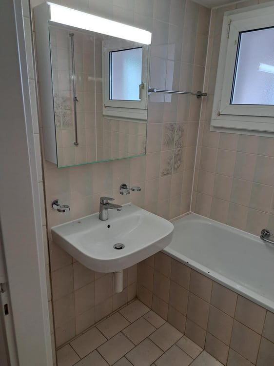 Gemütliche 3-Zimmerwohnung in Allschwil 2