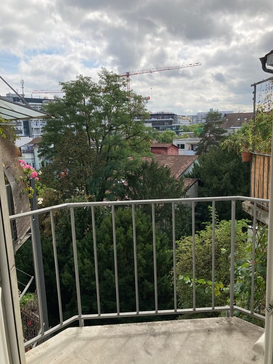 Altbauwohnung mit Charme an Top Lage nähe Universitätsspital Basel 9