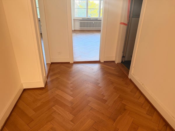Charmante Altbauwohnung nähe Basler Innenstadt und Universität 3
