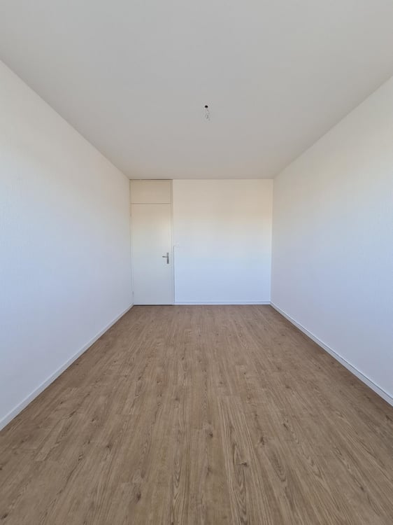 Grosszügige Wohnung mit Blick auf den Rhein 4