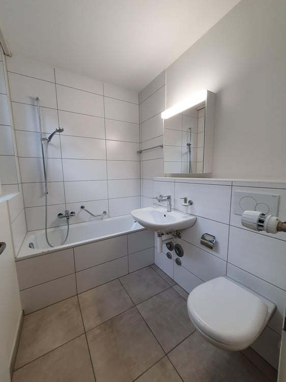 Grosszügige Wohnung mit Blick auf den Rhein 2
