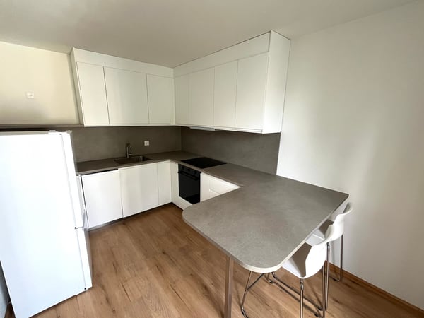CHARMANTE MÖBILIERTE 2-Zimmer-Wohnung in Basel 2