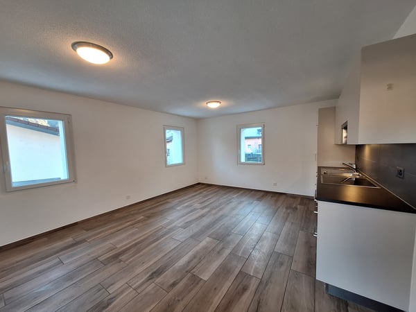 PETIT APPARTEMENT 3PCES AVEC TERRASSE 4