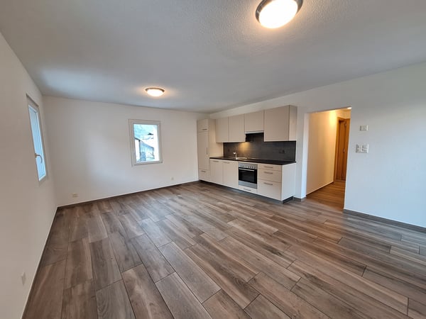PETIT APPARTEMENT 3PCES AVEC TERRASSE 3
