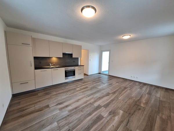 PETIT APPARTEMENT 3PCES AVEC TERRASSE 1