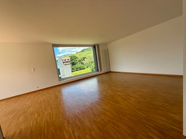 BEX -BEL ATTIQUE 3.5PCES AVEC GRANDE TERRASSE 10