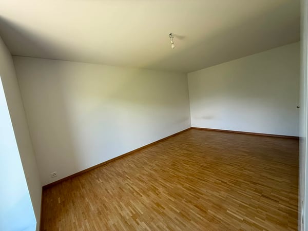 BEX -BEL ATTIQUE 3.5PCES AVEC GRANDE TERRASSE 5