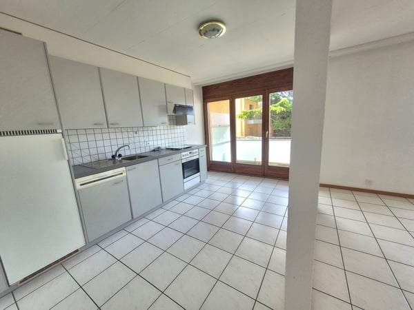 GRANOIS/SAVIESE - APPARTEMENT 4.5 PCES AU REZ AVEC TERRASSE 4