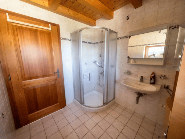 EUSEIGNE - BEAU CHALET DE 3.5 PIECES 8
