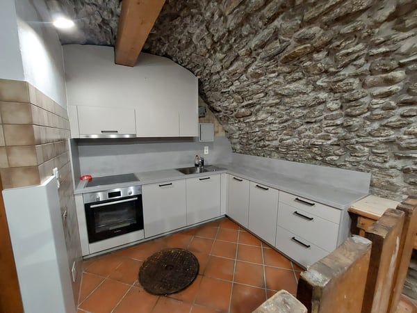 CARNOTZET / SALLE DE LOISIR AU COEUR DE MARTIGNY 2
