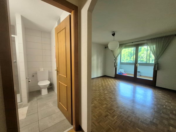 A PROXIMITE DU CENTRE-VILLE - SPACIEUX APPARTEMENT 6