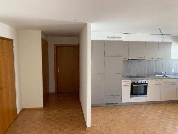 SAVIESE - BEL APPARTEMENT 2.5PCES 3