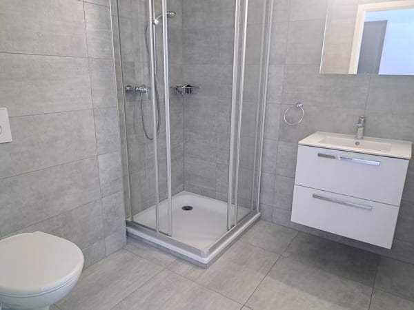 Châtel-St-Denis / 2.5 pièces - 71m2 4