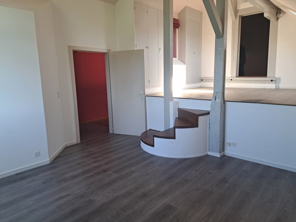 Magnifique appartement en duplex 5