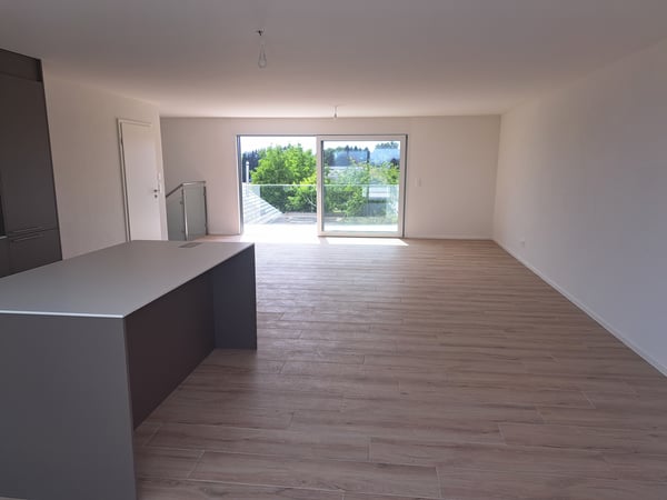 Vallon / Exceptionnel duplex de 5.5 pièces en attique 10