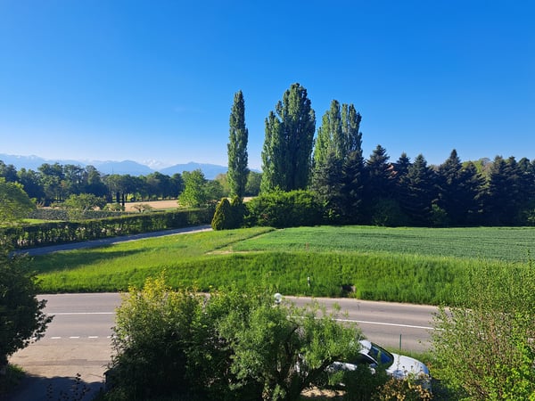 Magnifique appartement en duplex 8