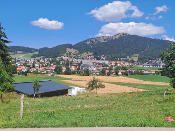 CULLIAIRY 30, Appartement de 6.5 pièces avec vaste terrasse et jardin 9