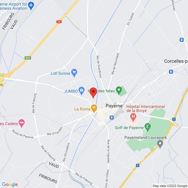 BERGERIE 8, Appartement de 3.5 pièces récent 9