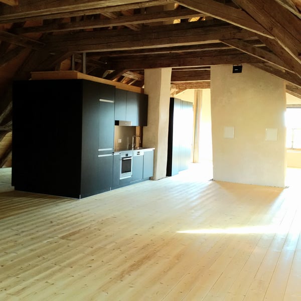 VIGNOBLE 18, Loft de 250m2 à 20min de Lausanne 2
