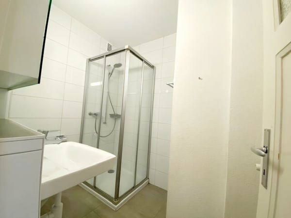 LILAS 3, Appartement de 3 pièces proche de la ville 7