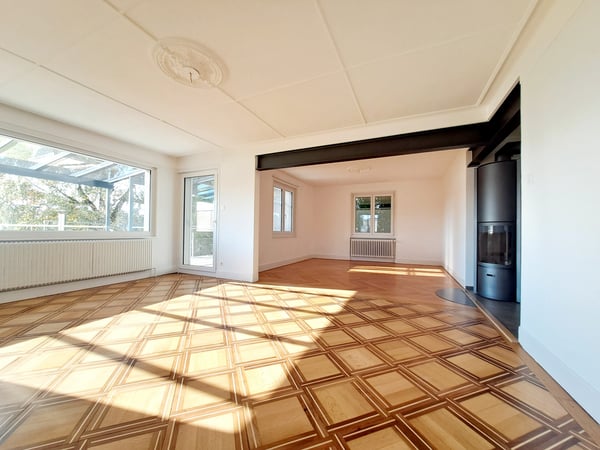 Maison individuelle de 5.5 pièces avec vaste jardin 2