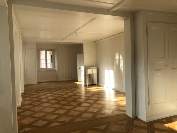 GRAND 3.5 PIÈCES DE 100 M2 CENTRE VILLE AVEC CACHET 3