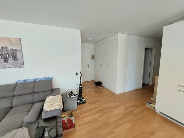 JOLI APPARTEMENT DE 3.5 PIECES AVEC TERRASSE CENTRE VILLE 3