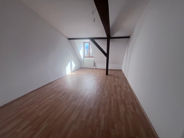 JOLI APPARTEMENT DE 3.5 PIECES EN DUPLEX AVEC CACHET 5