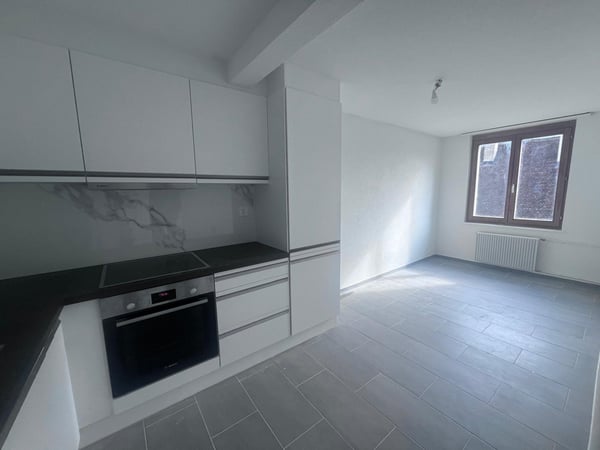 JOLI APPARTEMENT DE 3.5 PIECES EN DUPLEX AVEC CACHET 2