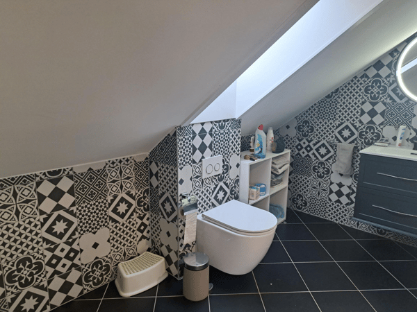 APPARTEMENT TRIPLEX 5.5 PIECES 150 M2 AVEC TERRASSE 10