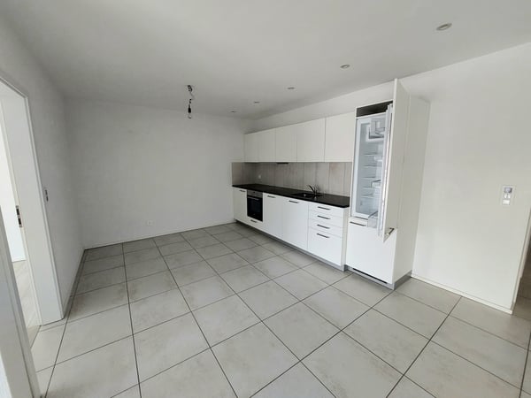 Alle, lumineux et moderne 2.5 pces à louer 5
