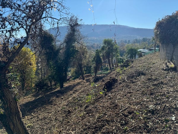 Traumhaftes Baugrundstück mit atemberaubendem Panoramablick 17