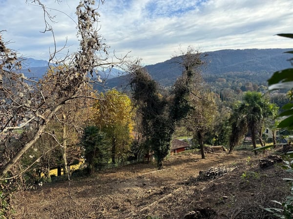 Traumhaftes Baugrundstück mit atemberaubendem Panoramablick 18