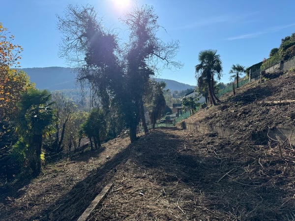 Traumhaftes Baugrundstück mit atemberaubendem Panoramablick 8