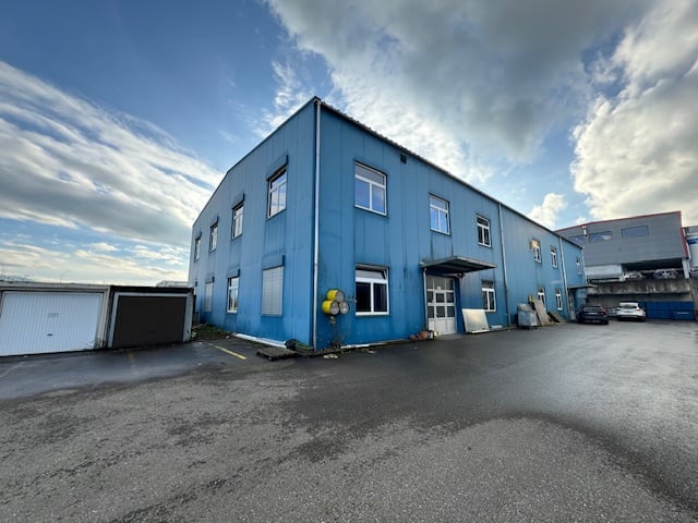 Blue exterior with several windows, two garages, and parking area in front, two cars parked nearby