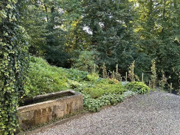 5.5-Einfamilienhaus für Architekturlieb…