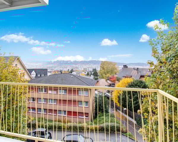 A Distinguished Home on the Zürichberg Fully Furnished Luxury Living 4