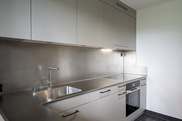 lichtdurchflutete Traumwohnung mit über 200m² Dachterrasse in Zürich-Höngg 4