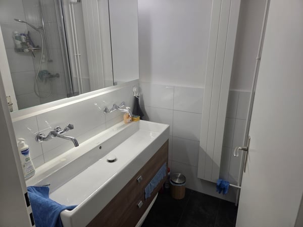 Charmante 4-Zimmer-Wohnung an ruhiger Lage in Adliswil 6