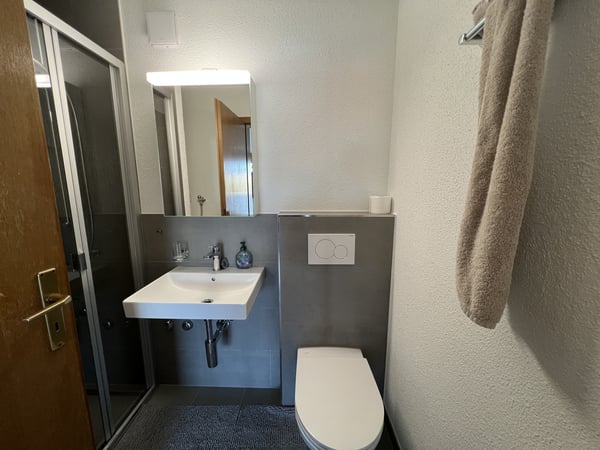 3.5 Zimmerwohnung mit grosszügigem Balkon zu vermieten 11