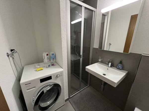 3.5 Zimmerwohnung mit grosszügigem Balkon zu vermieten 10