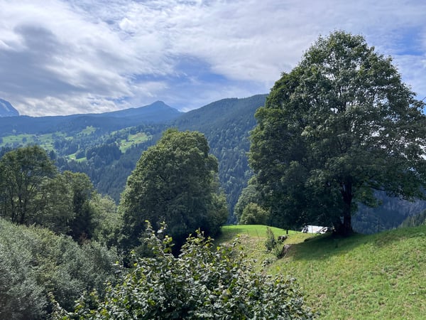 Idyllisch gelegenes Zweifamilienhaus in Grindelwald 12