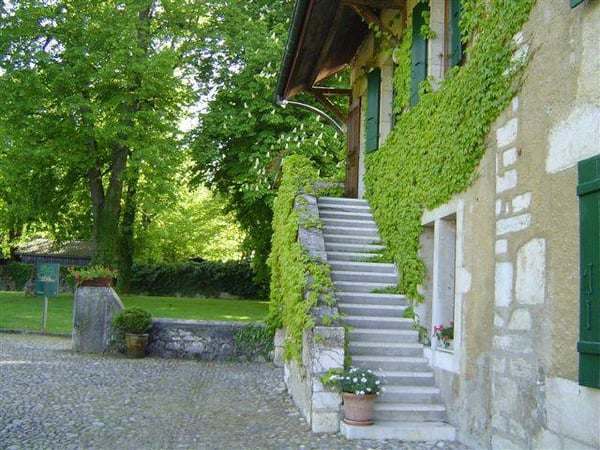 EN EXCLUSIVITE : Magnifique propriété au coeur du vignoble 2